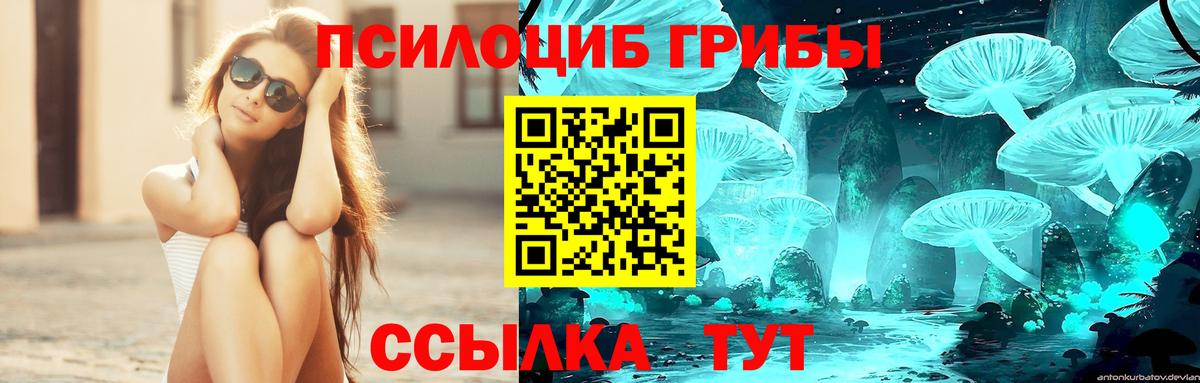 Галлюциногенные грибы MAGIC MUSHROOMS Ейск